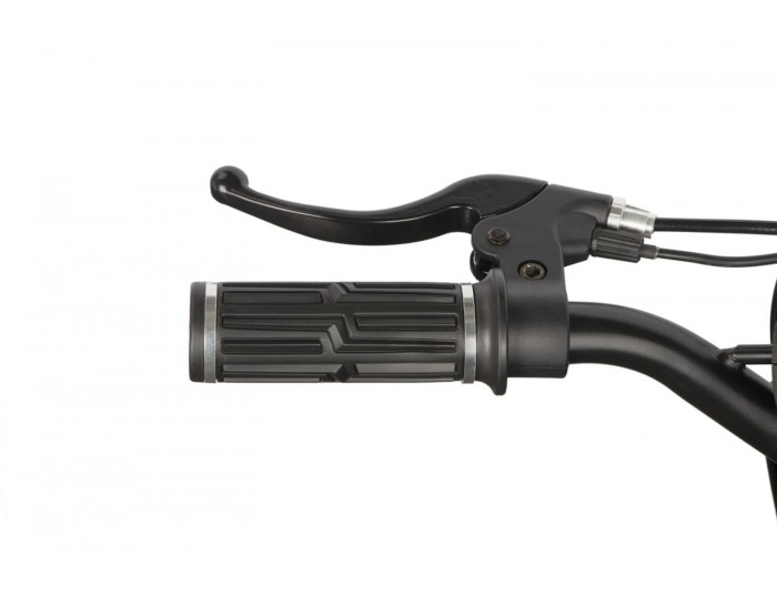 Lucky 1000W 36V Elektrisch Mini Crosser Voor Kinderen