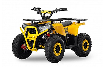 Nerino 1000W 48V Elektriska 4-hjuling Quad XL däck