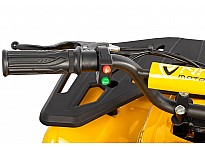 Nerino 1000W 48V Kinder Elektro Quad Bike XL-Reifen