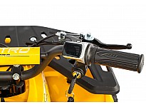 Nerino 1000W 48V Kinder Elektro Quad Bike XL-Reifen