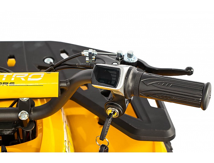 Nerino 1000W 48V Kinder Elektro Quad Bike XL-Reifen