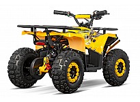 Nerino 1000W 48V Kinder Elektro Quad Bike XL-Reifen
