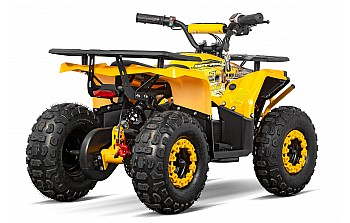 Nerino 1000W 48V Elektriska 4-hjuling Quad XL däck