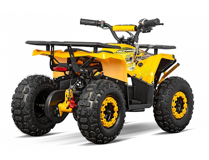 Nerino 1000W 48V Kinder Elektro Quad Bike XL-Reifen