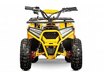 Nerino 1000W 48V Kinder Elektro Quad Bike XL-Reifen