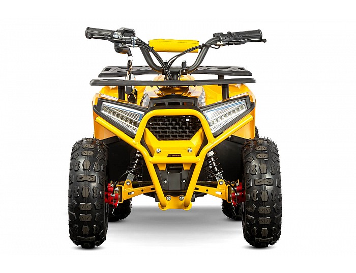 Nerino 1000W 48V Kinder Elektro Quad Bike XL-Reifen