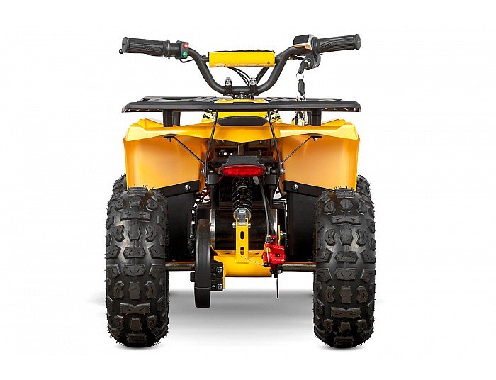 Nerino 1000W 48V Kinder Elektro Quad Bike XL-Reifen