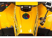 Nerino 1000W 48V Kinder Elektro Quad Bike XL-Reifen