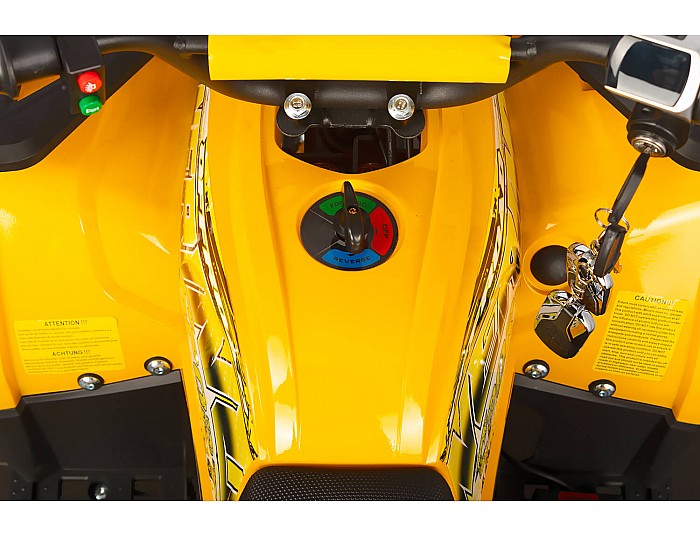 Nerino 1000W 48V Kinder Elektro Quad Bike XL-Reifen