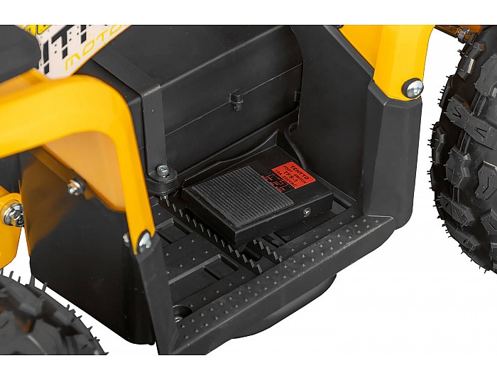 Nerino 1000W 48V Kinder Elektro Quad Bike XL-Reifen