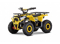 Nerino 1200W 48V Kids Electric Quad Bike XL Tyres