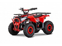 Nerino 1200W 48V Kids Electric Quad Bike XL Tyres