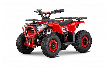 Nerino 1200W 48V Elektriska 4-hjuling Quad XL däck