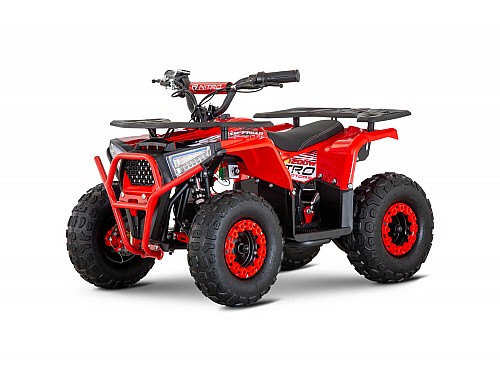 Nerino 1200W 48V Electric Quad Bike 