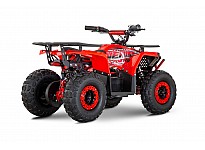 Nerino 1200W 48V Kids Electric Quad Bike XL Tyres