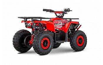 Nerino 1200W 48V Elektriska 4-hjuling Quad XL däck