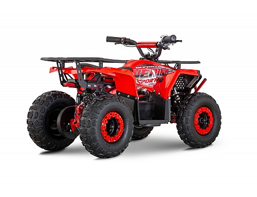Nerino 1200W 48V Electric Quad Bike 