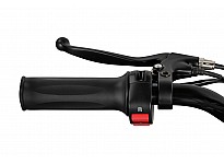 Panther 1000W 36V Electric Dirt Bike with 15Ah LiFePO₄ Battery and Brushless Motor