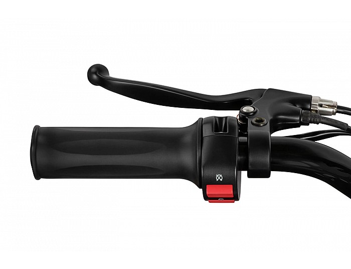 Panther 1000W 36V Electric Dirt Bike with 15Ah LiFePO₄ Battery and Brushless Motor