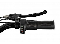 Panther 1000W 36V Electric Dirt Bike with 15Ah LiFePO₄ Battery and Brushless Motor