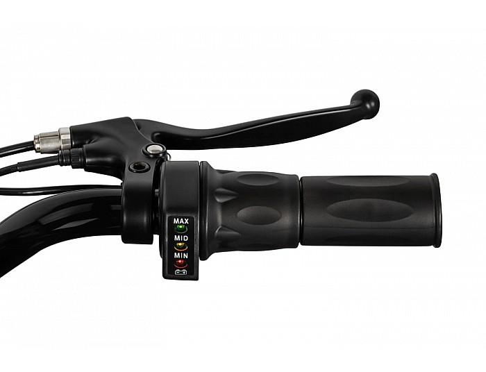 Panther 1000W 36V Electric Dirt Bike with 15Ah LiFePO₄ Battery and Brushless Motor