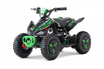 Python 1000W 36V QUAD Elektro Quad Bike auf Offroad-Reifen