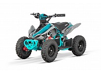 Python 1000W 36V ELEKTRISKA 4-HJULING - QUAD FOR BARN