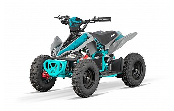 Python 1000W 36V QUAD Elektro Quad Bike
