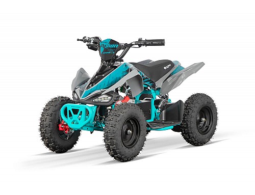 Python 1000W 36V Electric Quad Bike