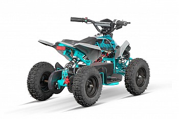 Python 1000W 36V Elektrisch Mini Quad
