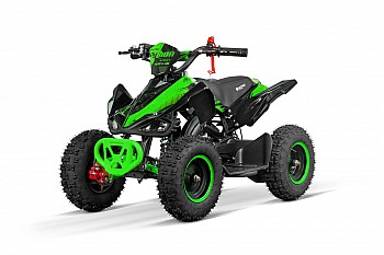 Python 50 Mini Quad Bike