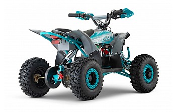 Replay 1200W 48V Elektriska 4-hjuling Quad på Terrängdäck