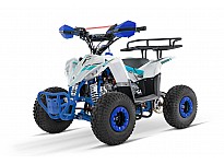 Replay URX RG6-A 110 Sport Quad voor Kinderen Automatisch, 4-taktmotor, Elektrische Starter, Nitro Motors