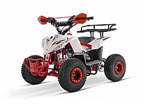 Replay URX RG6-A 110 Sport Quad voor Kinderen Automatisch, 4-taktmotor, Elektrische Starter, Nitro Motors