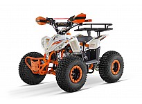 Replay URX RG7-A 110 Sport Quad voor Kinderen Automatisch, 4-taktmotor, Elektrische Starter, Nitro Motors