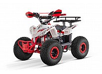 Replay URX RG7-A 110 Sport Quad voor Kinderen Automatisch, 4-taktmotor, Elektrische Starter, Nitro Motors