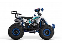 Replay URX RG7-A 110 Sport Quad voor Kinderen Automatisch, 4-taktmotor, Elektrische Starter, Nitro Motors