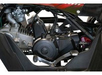 Replay AG8 RS 125 Quad Bike Semi-Automatik, 4-Takt-Motor, Elektro Starter, Nitro Motors