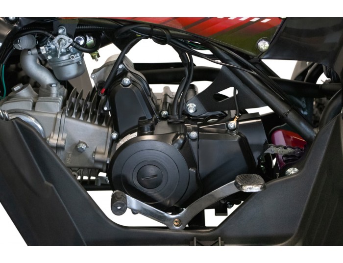 Replay AG8 RS 125 Quad voor Kinderen Halfautomatisch, 4-taktmotor, Elektrische Starter, Nitro Motors