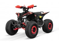 Replay AG8 RS 125 Quad Bike Semi-Automatik, 4-Takt-Motor, Elektro Starter, Nitro Motors