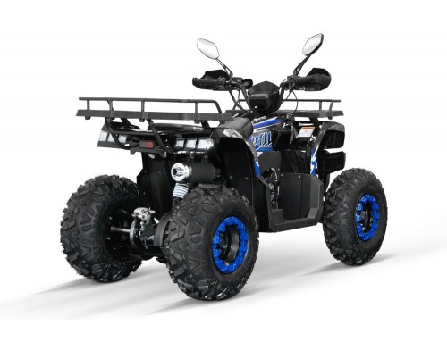 Reptile RS10-CVT 200 XXL Quad ATV - PLATIN LINE
