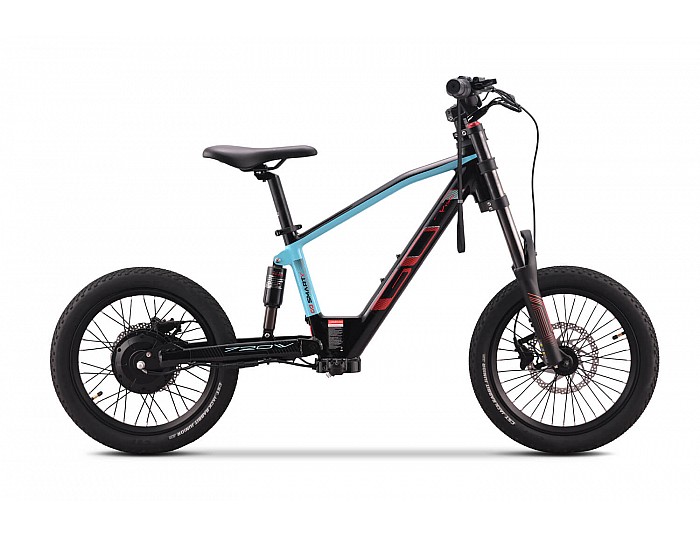 Moto électrique SMARTY GO-1, 1000W, 36V, 5Ah, batterie Li-ion, 18 pouces