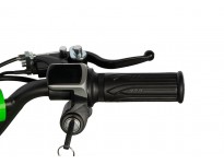 Torino 1000W 36V Kinder Elektro Quad Bike auf L-Profil-Reifen
