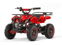 Torino 1000W 48V Elektriska 4-hjuling Quad for Barn på L-profildäck