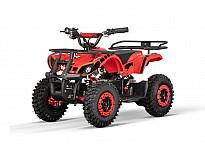 Torino 1000W 36V Kids Electric Quad Bike on L Profile Tyres