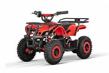 Torino 1000W 36V Elektro Quad Bike auf L-Profil-Reifen 