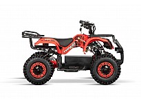 Torino 1000W 36V Kids Electric Quad Bike on L Profile Tyres
