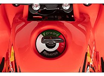 Torino 1000W 36V Kids Electric Quad Bike on L Profile Tyres