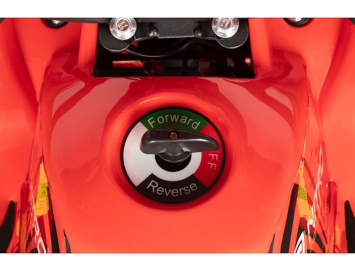 Torino 1000W 36V Kids Electric Quad Bike on L Profile Tyres