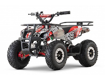 Electric Quad Bike Rfz Quad Torino 1200W 48V Kids Electric Quad Bike